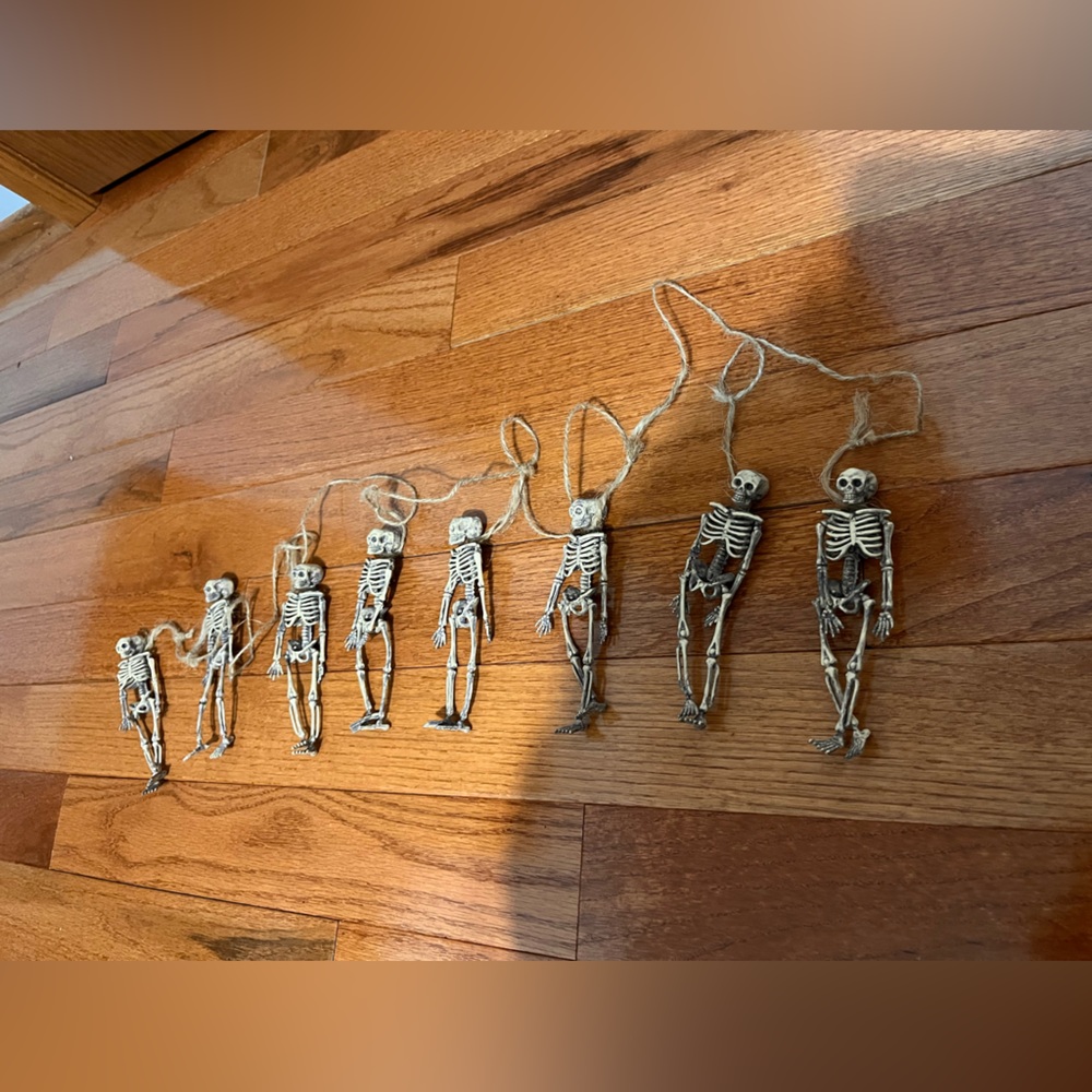 Skeleton Garland - Like New!
